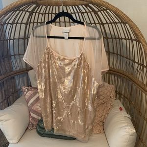 Lane Collection Gold Sequins and mesh top 22/24
